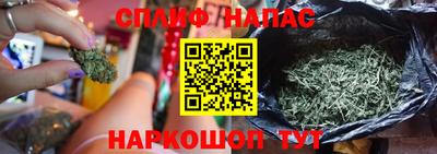 СК Будённовск