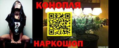 СК Будённовск